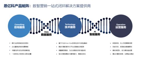 咨詢賦能，技術破局 營銷數(shù)字化轉型中的價值躍升之道